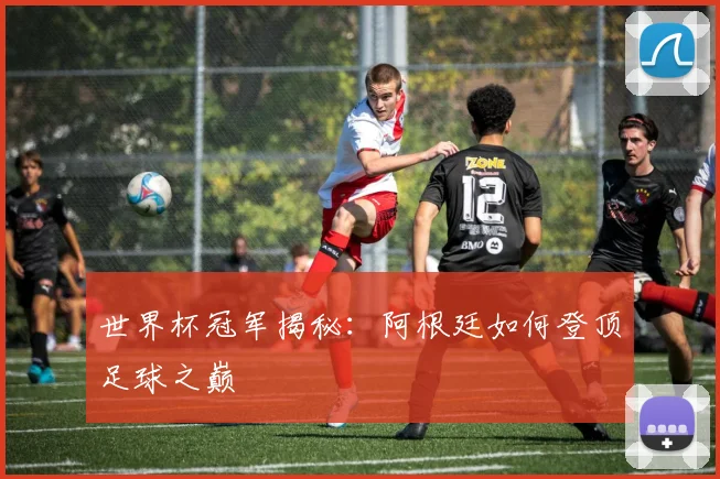世界杯冠军揭秘：阿根廷如何登顶足球之巅