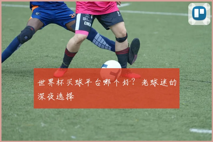 世界杯买球平台哪个好？老球迷的深夜选择
