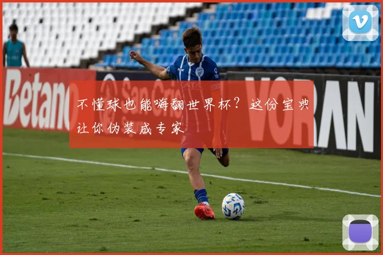 不懂球也能嗨翻世界杯？这份宝典让你伪装成专家