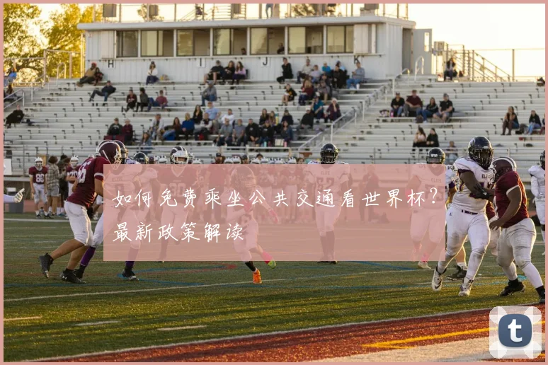 如何免费乘坐公共交通看世界杯？最新政策解读